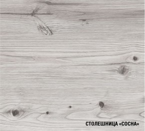 АСАЯ Кухонный гарнитур Экстра (3000 мм) в Полевском - polevskoy.mebel-74.com | фото