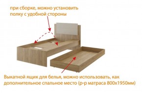 Дуглас (подростковая) М14 Кровать в Полевском - polevskoy.mebel-74.com | фото