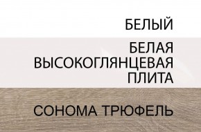 Комод 2D-1S/TYP 34, LINATE ,цвет белый/сонома трюфель в Полевском - polevskoy.mebel-74.com | фото