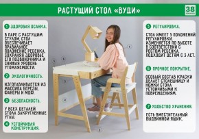 Комплект растущий стол и стул с чехлом 38 попугаев «Вуди» (Белый, Белый, Салют) в Полевском - polevskoy.mebel-74.com | фото