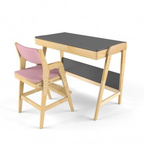 Комплект растущий стол и стул с чехлом 38 попугаев «Вуди» (Серый, Береза, Розовый) в Полевском - polevskoy.mebel-74.com | фото