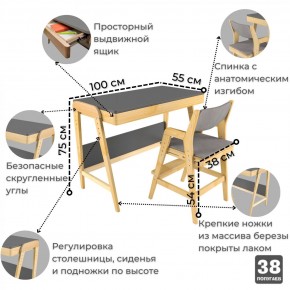 Комплект растущий стол и стул с чехлом 38 попугаев «Вуди» (Серый, Береза, Серый) в Полевском - polevskoy.mebel-74.com | фото
