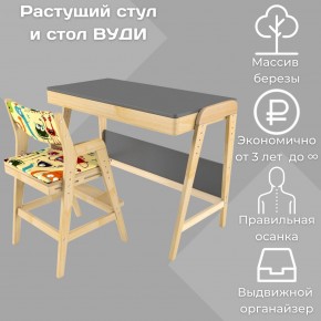 Комплект растущий стол и стул с чехлом 38 попугаев «Вуди» (Серый, Без покрытия, Монстры) в Полевском - polevskoy.mebel-74.com | фото