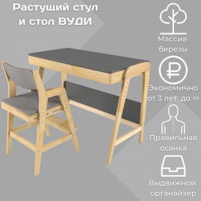 Комплект растущий стол и стул с чехлом 38 попугаев «Вуди» (Серый, Без покрытия, Серый) в Полевском - polevskoy.mebel-74.com | фото