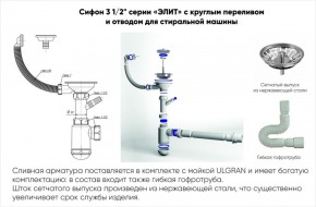 Мойка кухонная ULGRAN U-101 (500) в Полевском - polevskoy.mebel-74.com | фото