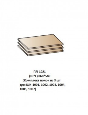 ПЛ-1021 (Комплект полок из 3 шт для ШК-1001, 1002, 1003, 1004, 1005, 1007) в Полевском - polevskoy.mebel-74.com | фото