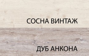 Шкаф 2D1S, MONAKO, цвет Сосна винтаж/дуб анкона в Полевском - polevskoy.mebel-74.com | фото