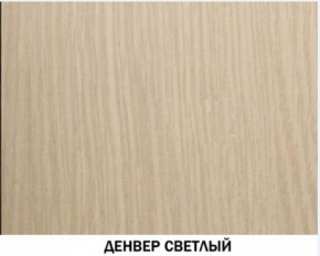 Шкаф для одежды №609 "Инна" Денвер светлый (*без полок) в Полевском - polevskoy.mebel-74.com | фото