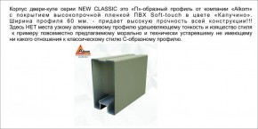Шкаф-купе 1700 серии NEW CLASSIC K2+K2+B2+PL2(2 ящика+1 штанга+1 полка) профиль «Капучино» в Полевском - polevskoy.mebel-74.com | фото