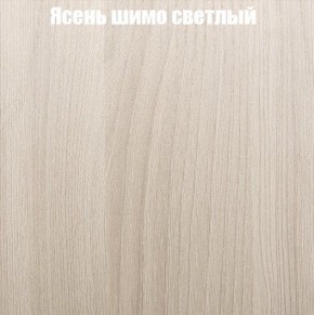 Шкаф-купе «ТАНДЕМ» 2-х дверный в алюминиевом профиле (Дверь К+К) 1200/h2200 в Полевском - polevskoy.mebel-74.com | фото