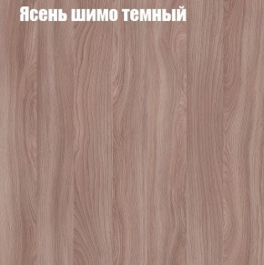 Шкаф-купе «ТАНДЕМ» 2-х дверный в алюминиевом профиле (Дверь К+К) 1200/h2200 в Полевском - polevskoy.mebel-74.com | фото