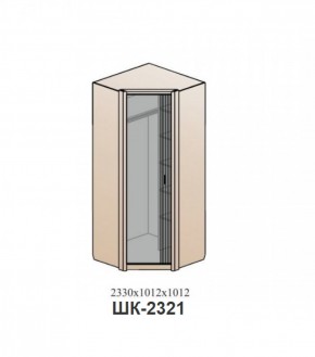Шкаф ШЕР Дуб серый/айронвуд серебро (ШК-2321) в Полевском - polevskoy.mebel-74.com | фото