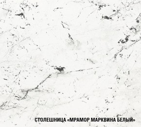 ТЕРЦИЯ Кухонный гарнитур Экстра 5 (3000 мм) в Полевском - polevskoy.mebel-74.com | фото